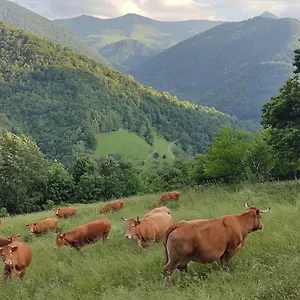 Hébergement de vacances La Grange De L'ours, Saint-Lary (Ariege)